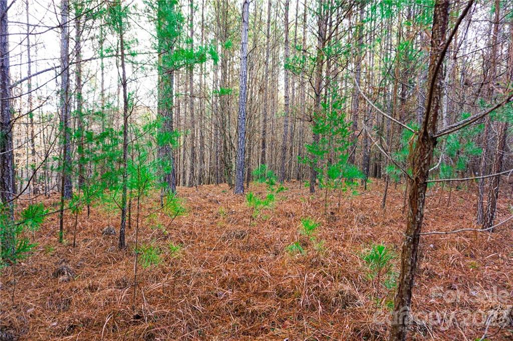 Lot 11 Destiny Dr Mill Spring, Unit LOT 11 Mill Spring, NC 28756 - Photo 1 of 28 a view of a backyard