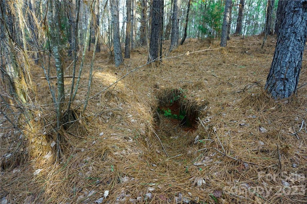 Lot 11 Destiny Dr Mill Spring, Unit LOT 11 Mill Spring, NC 28756 - Photo 11 of 28 a view of forest