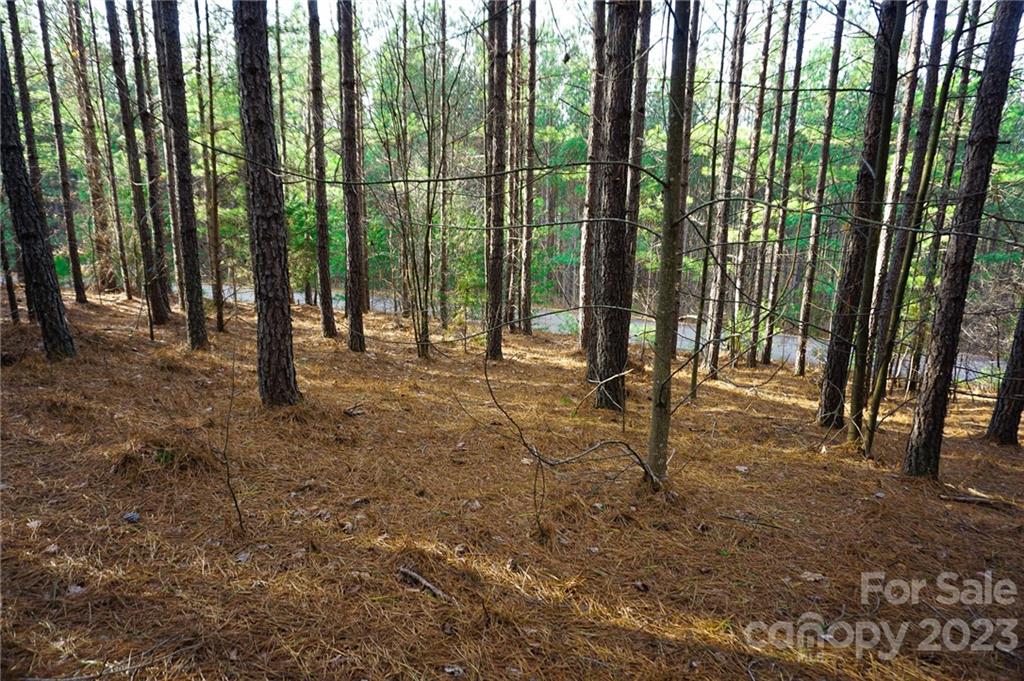 Lot 11 Destiny Dr Mill Spring, Unit LOT 11 Mill Spring, NC 28756 - Photo 12 of 28 a view of outdoor space with deck