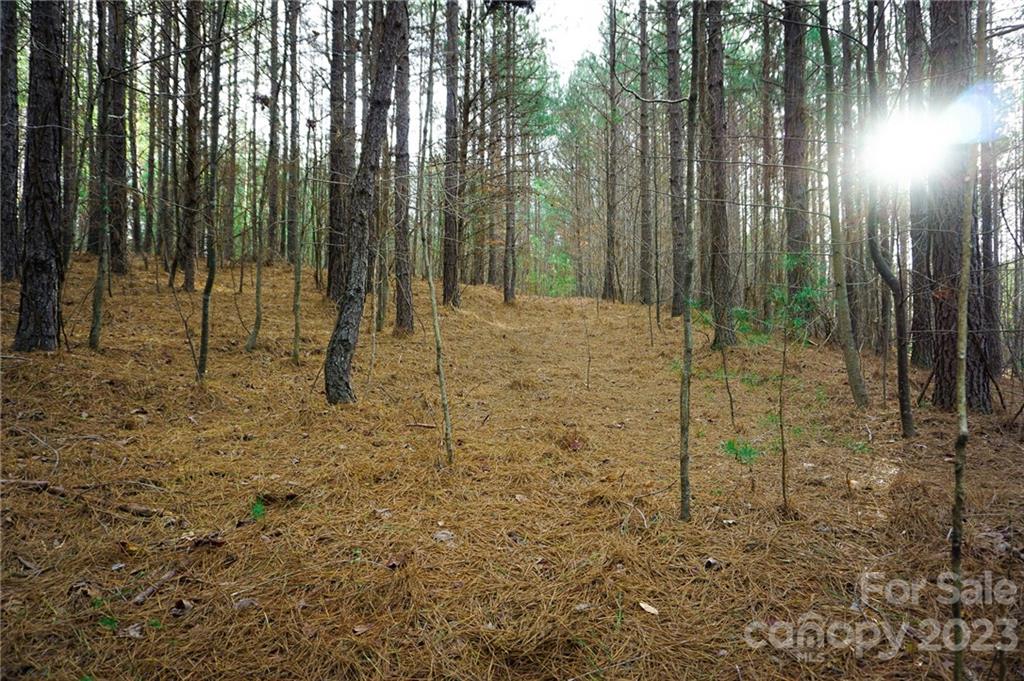 Lot 11 Destiny Dr Mill Spring, Unit LOT 11 Mill Spring, NC 28756 - Photo 14 of 28 a view of a backyard