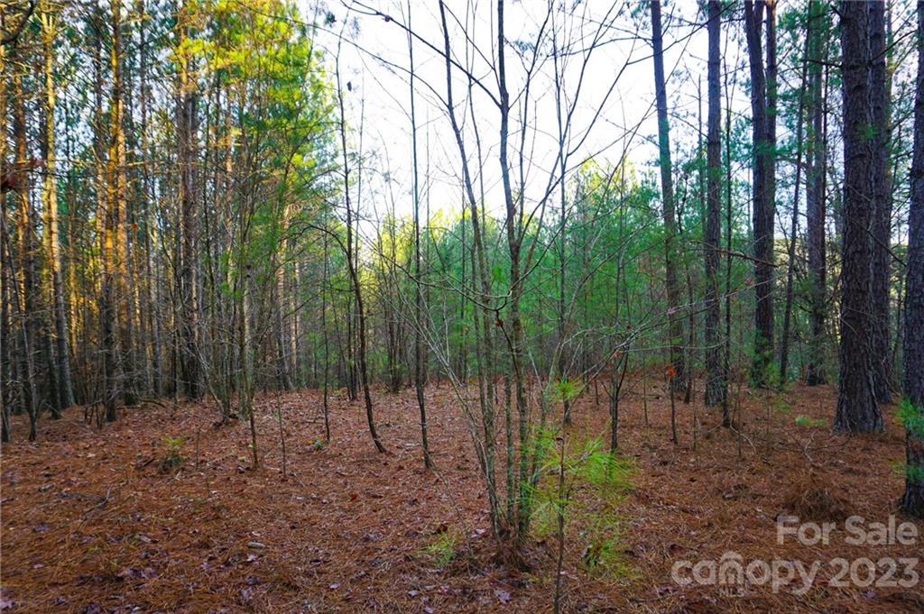 Lot 11 Destiny Dr Mill Spring, Unit LOT 11 Mill Spring, NC 28756 - Photo 2 of 28 a view of outdoor space and green space