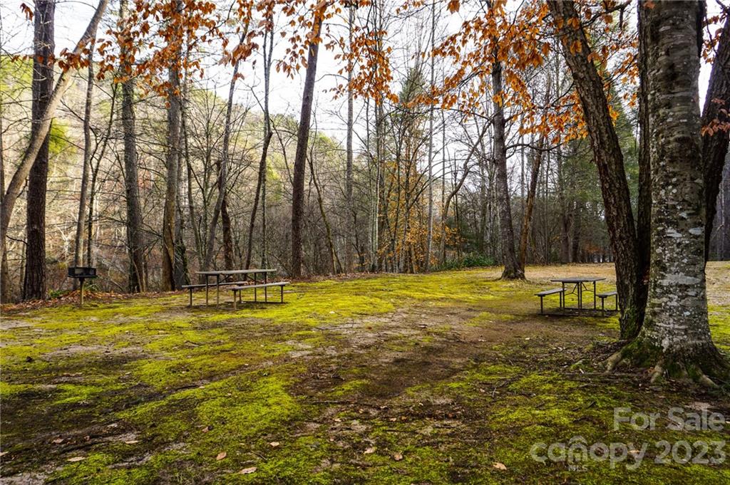 Lot 11 Destiny Dr Mill Spring, Unit LOT 11 Mill Spring, NC 28756 - Photo 25 of 28 a swimming pool with trees in the background