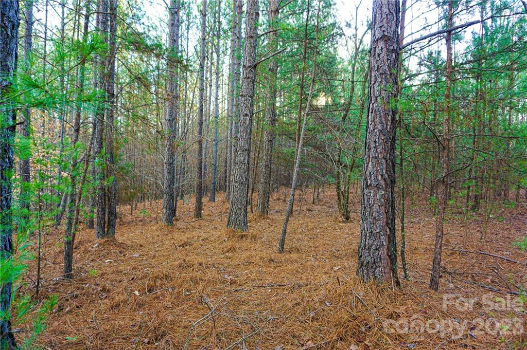 Lot 11 Destiny Dr Mill Spring, Unit LOT 11 Mill Spring, NC 28756 - Photo 6 of 28 a backyard of a house with lots of green space
