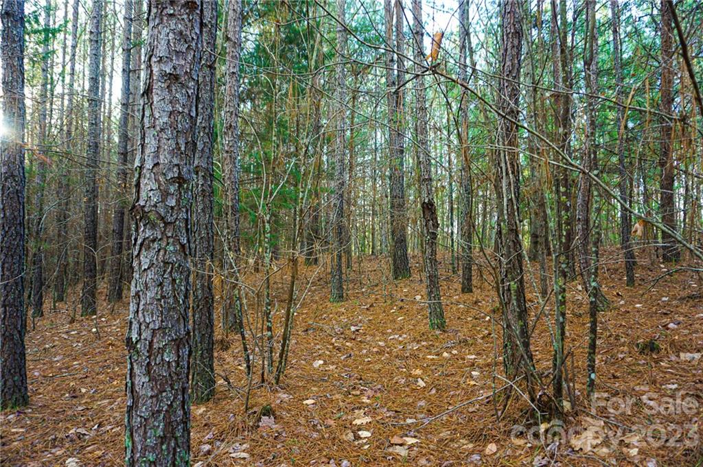 Lot 11 Destiny Dr Mill Spring, Unit LOT 11 Mill Spring, NC 28756 - Photo 10 of 28