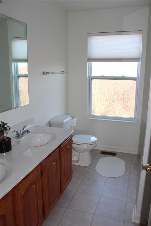 511 Blue Ridge Drive Coraopolis, PA 15108 - Photo 10 of 24 Master bathroom
