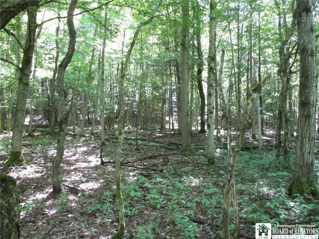 $158,900 | 6878 Shaller Road, Belfast, NY 14711