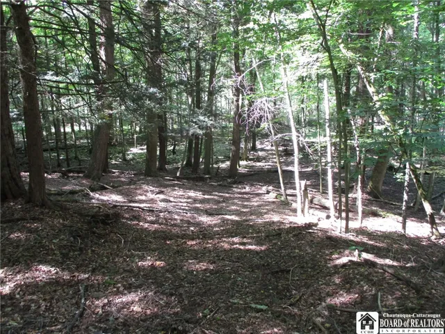 $158,900 | 6878 Shaller Road, Belfast, NY 14711