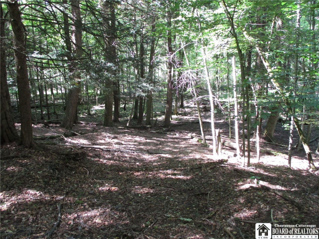 6878 Shaller Road Belfast, NY 14711 - Photo 19 of 29