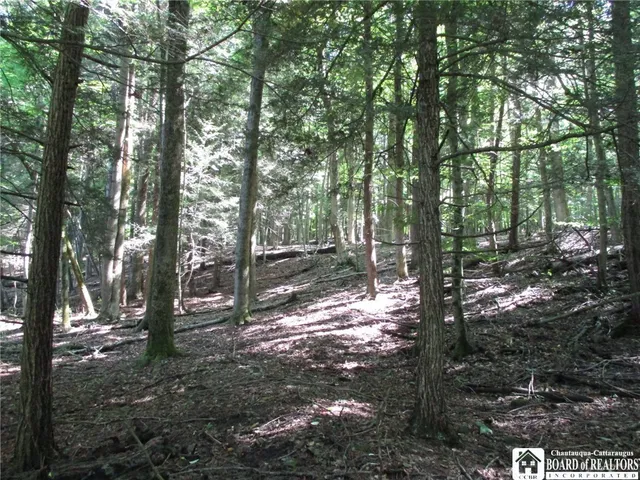 $158,900 | 6878 Shaller Road, Belfast, NY 14711