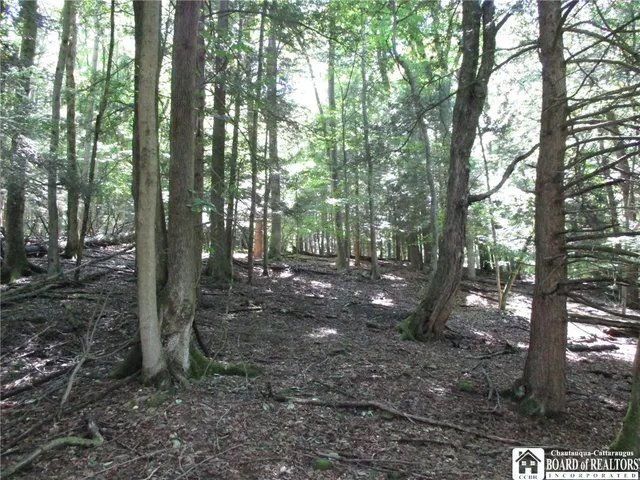 $158,900 | 6878 Shaller Road, Belfast, NY 14711