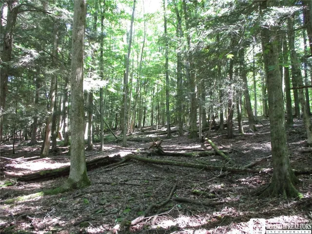 $158,900 | 6878 Shaller Road, Belfast, NY 14711