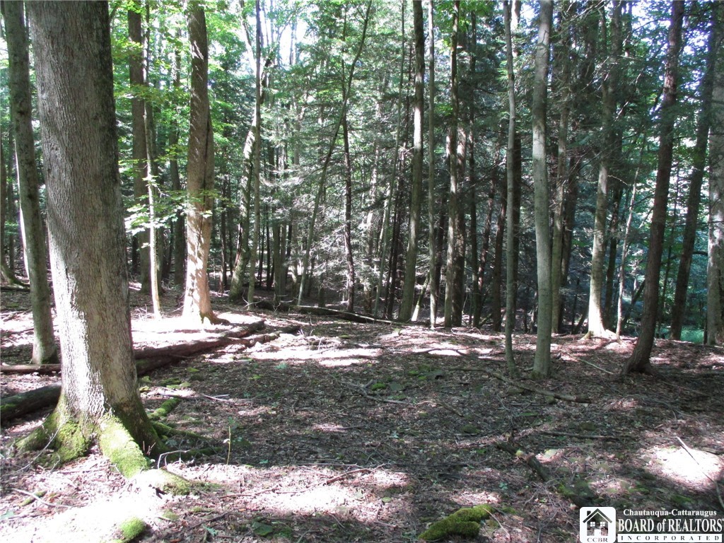 6878 Shaller Road Belfast, NY 14711 - Photo 23 of 29