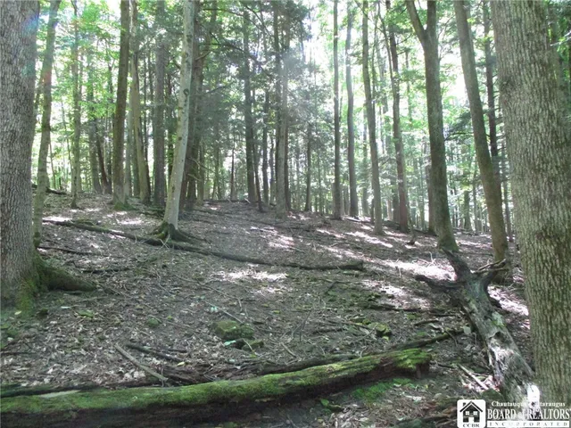 $158,900 | 6878 Shaller Road, Belfast, NY 14711