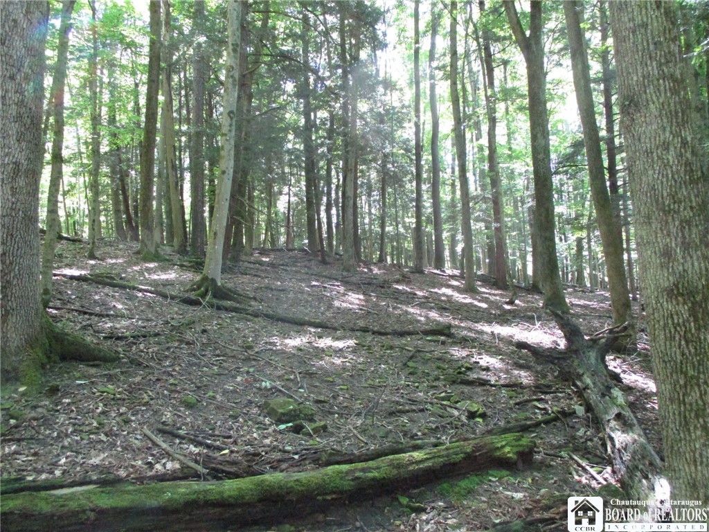 6878 Shaller Road Belfast, NY 14711 - Photo 24 of 29