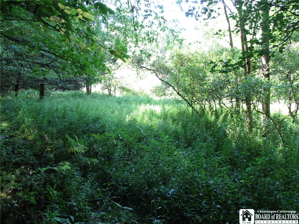 6878 Shaller Road Belfast, NY 14711 - Photo 25 of 29