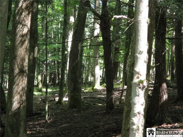 $158,900 | 6878 Shaller Road, Belfast, NY 14711