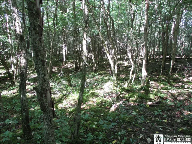 $158,900 | 6878 Shaller Road, Belfast, NY 14711