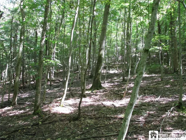 $158,900 | 6878 Shaller Road, Belfast, NY 14711