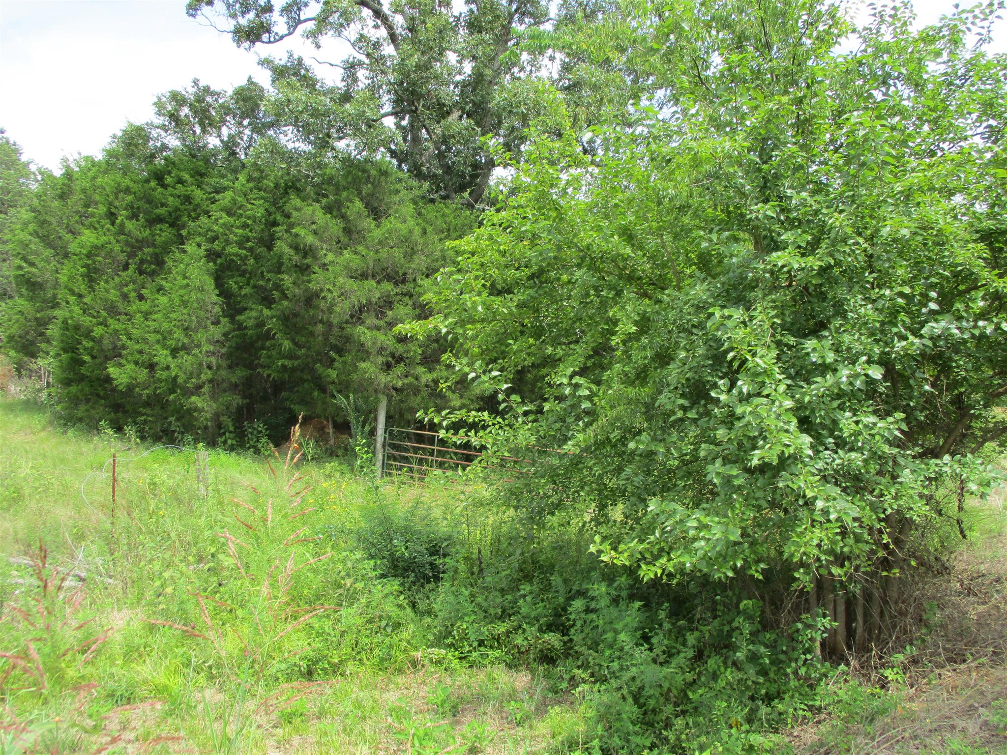 Gallery Image 6