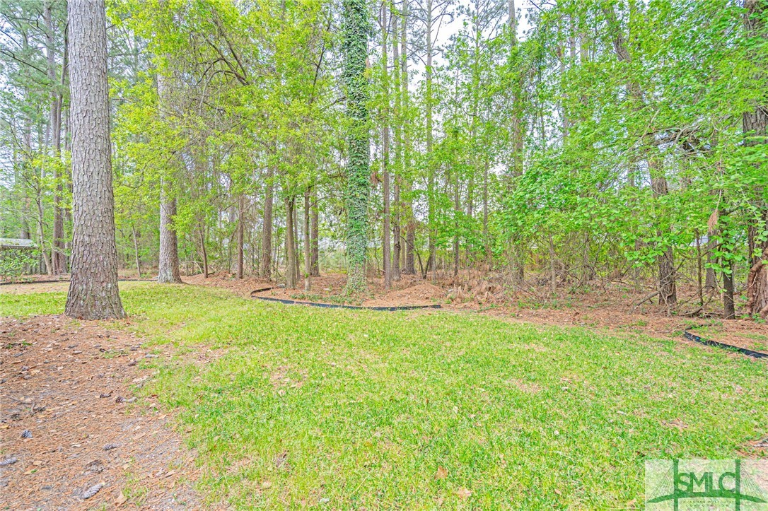 28 Raven Wood Way Pooler, GA 31322 - Photo 44 of 44 Gallery Image 44