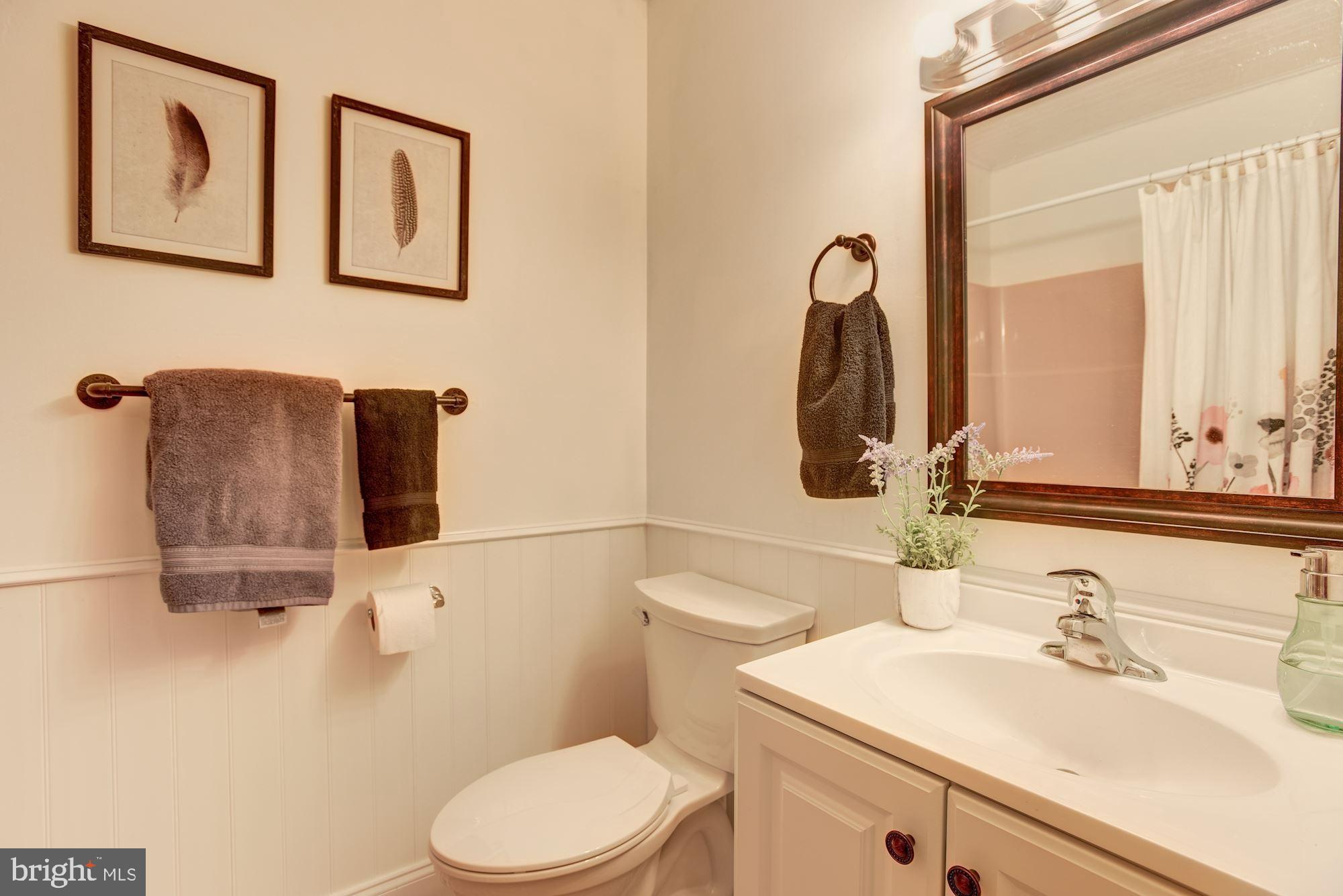 9749 Hillsmere Road Ellicott City, MD 21042 - Photo 20 of 39 Owner's Bath