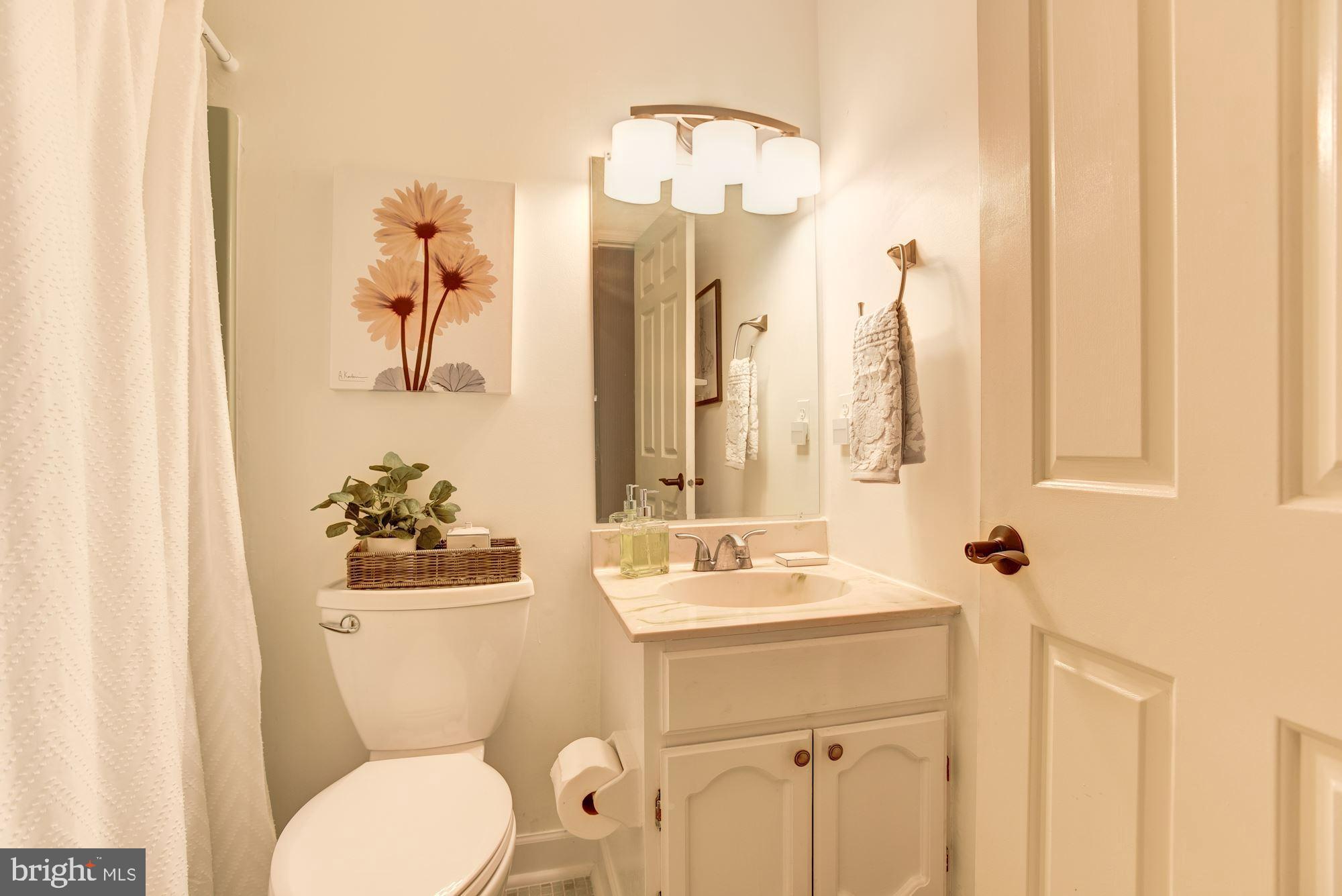 9749 Hillsmere Road Ellicott City, MD 21042 - Photo 24 of 39 Hall Bath
