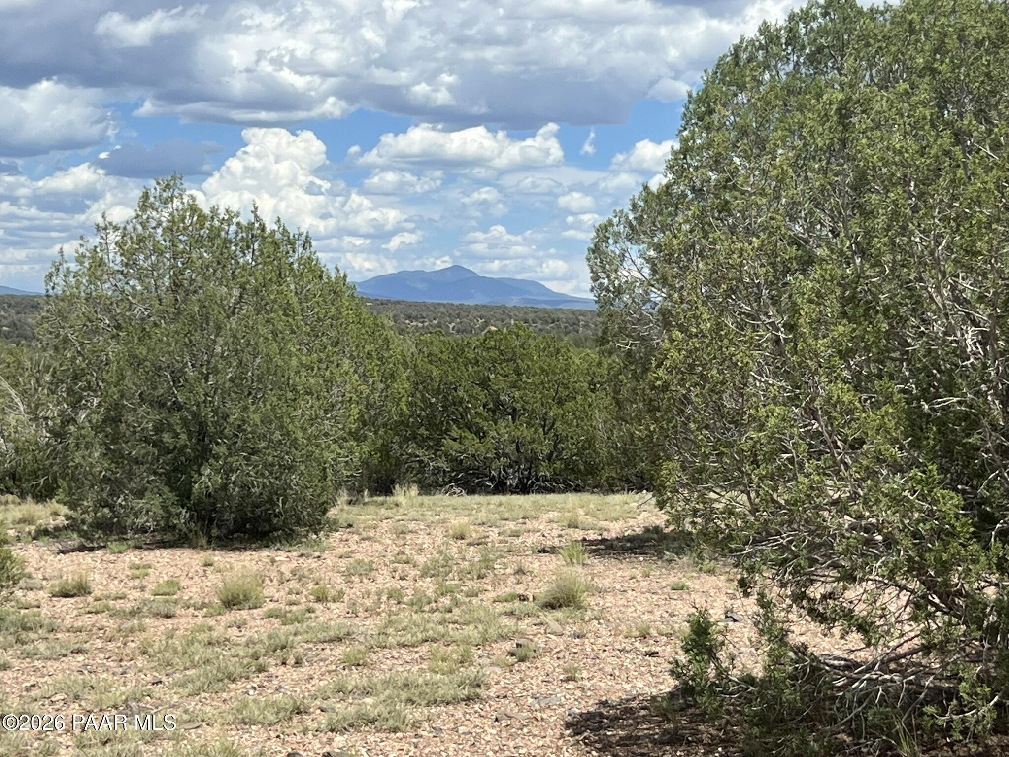 70 Arizona Road Ash Fork, AZ 86320 - Photo 7 of 11 IMG_0183