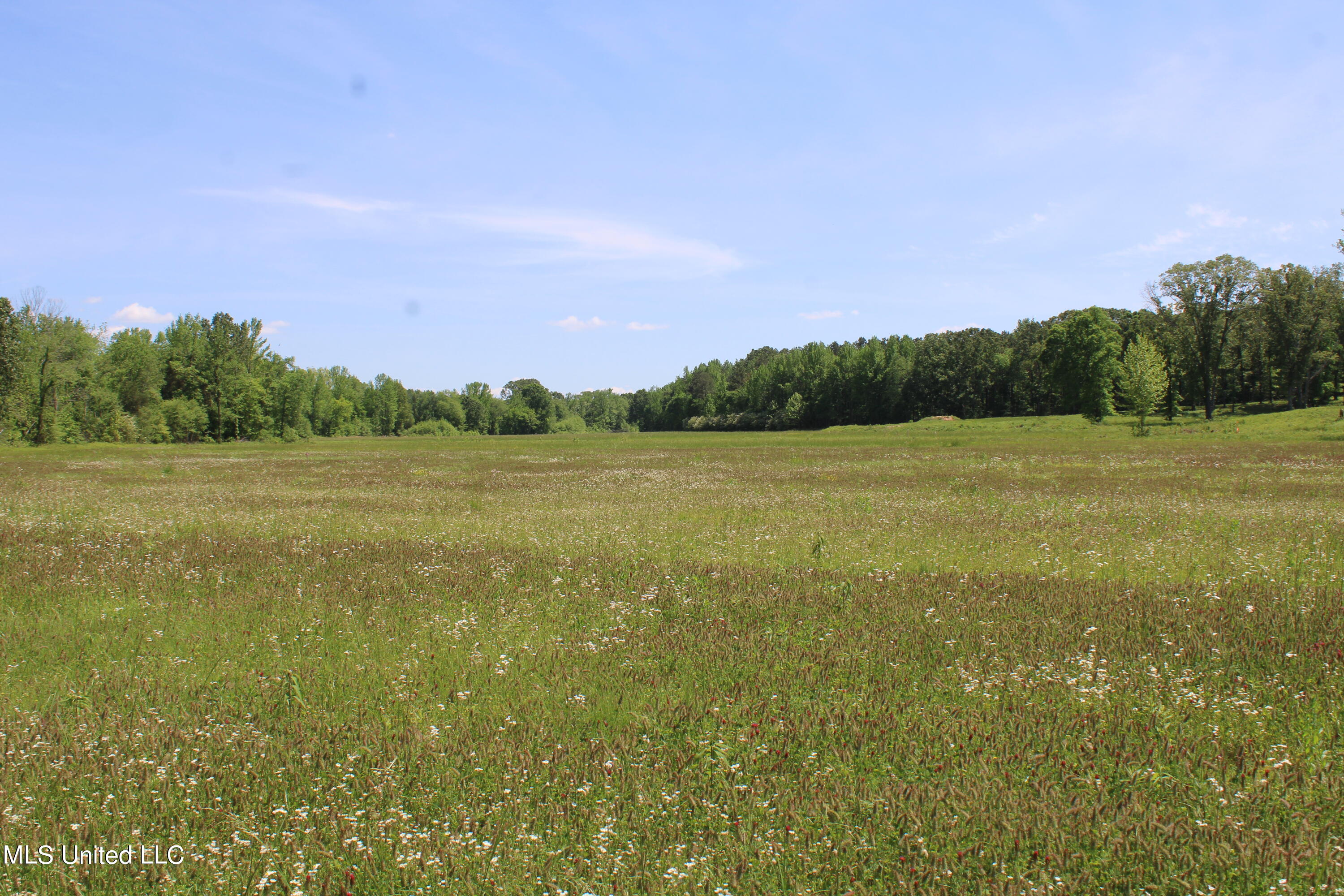 14996 Fairview Road Byhalia, MS 38611 - Photo 1 of 31 land
