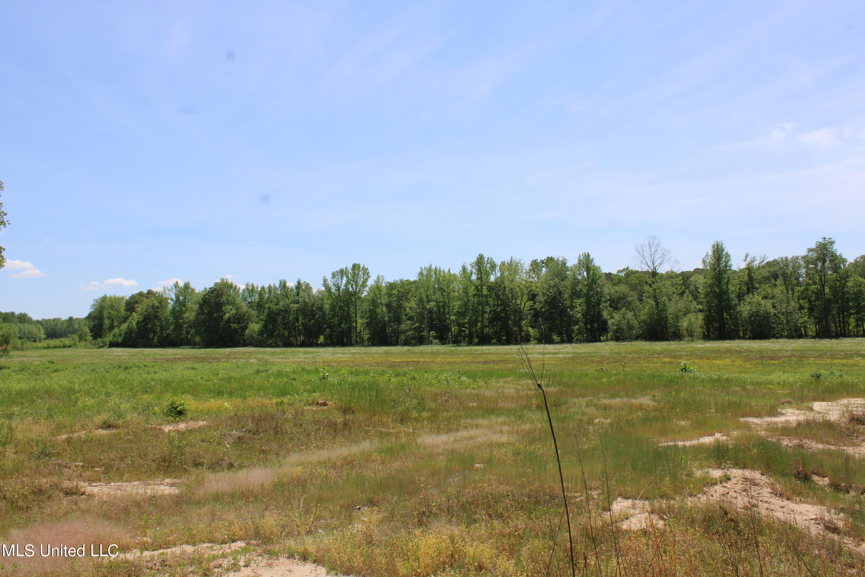 14996 Fairview Road Byhalia, MS 38611 - Photo 11 of 31 IMG_3810