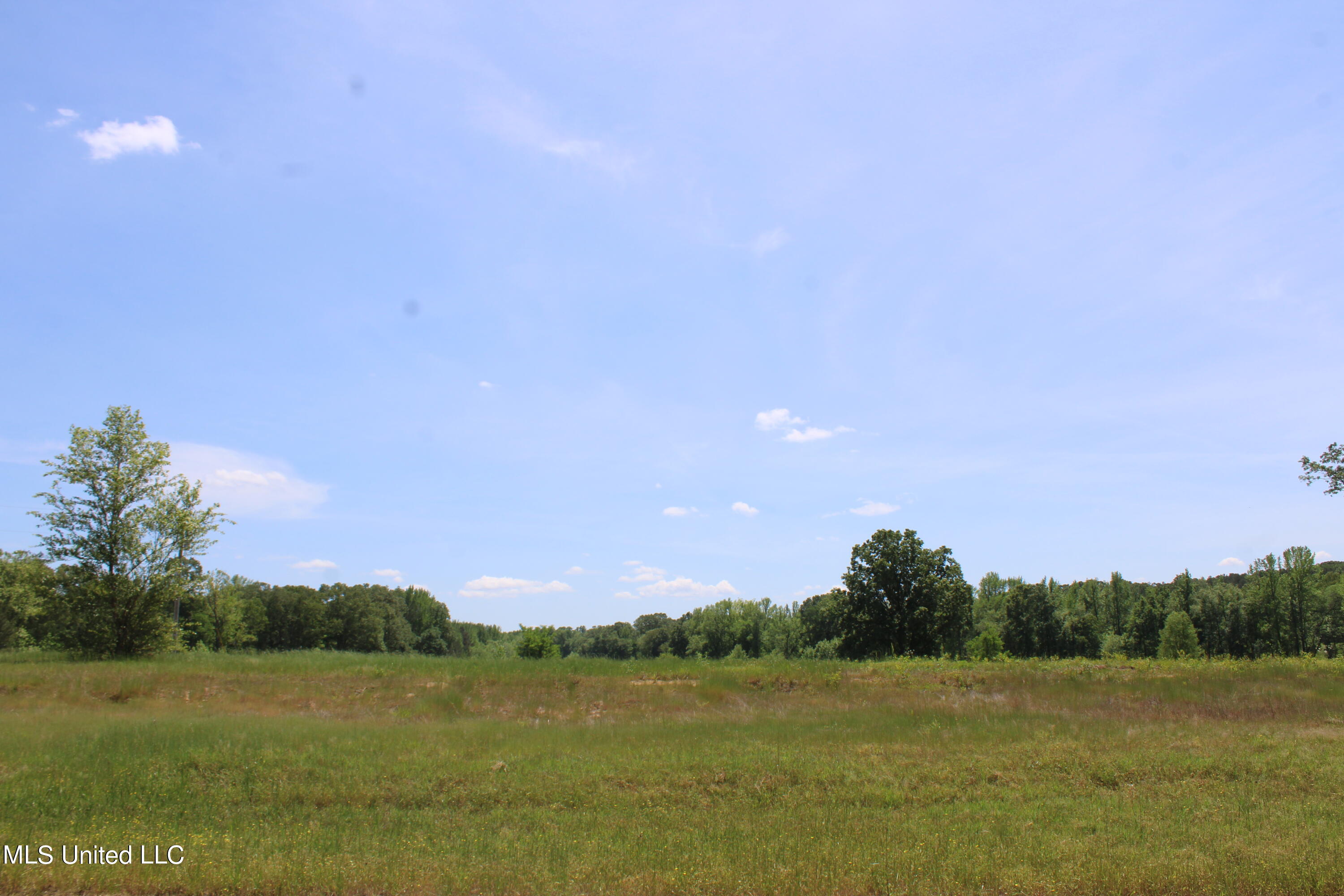 14996 Fairview Road Byhalia, MS 38611 - Photo 2 of 31 IMG_3799