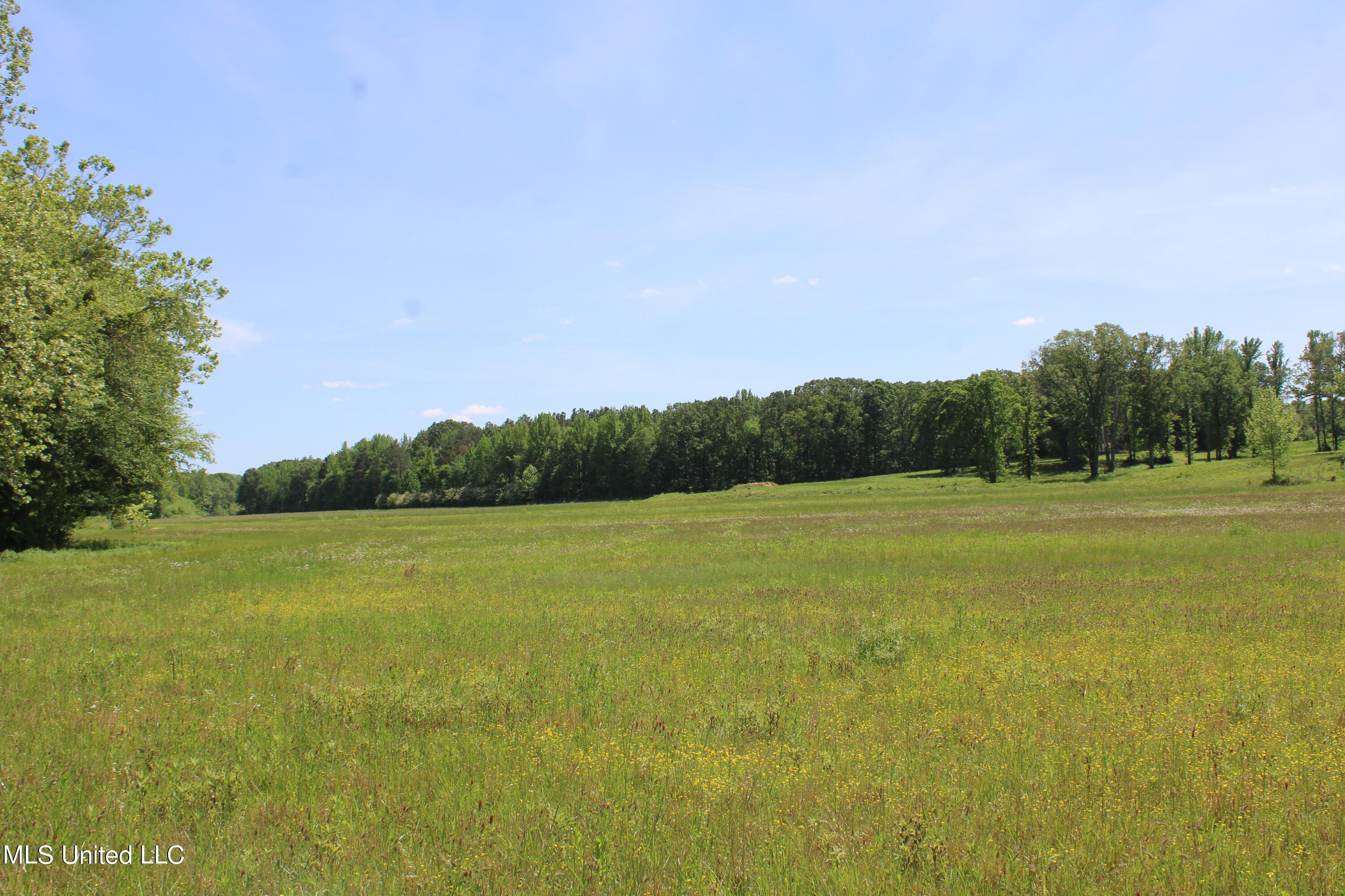 14996 Fairview Road Byhalia, MS 38611 - Photo 21 of 31 IMG_3821
