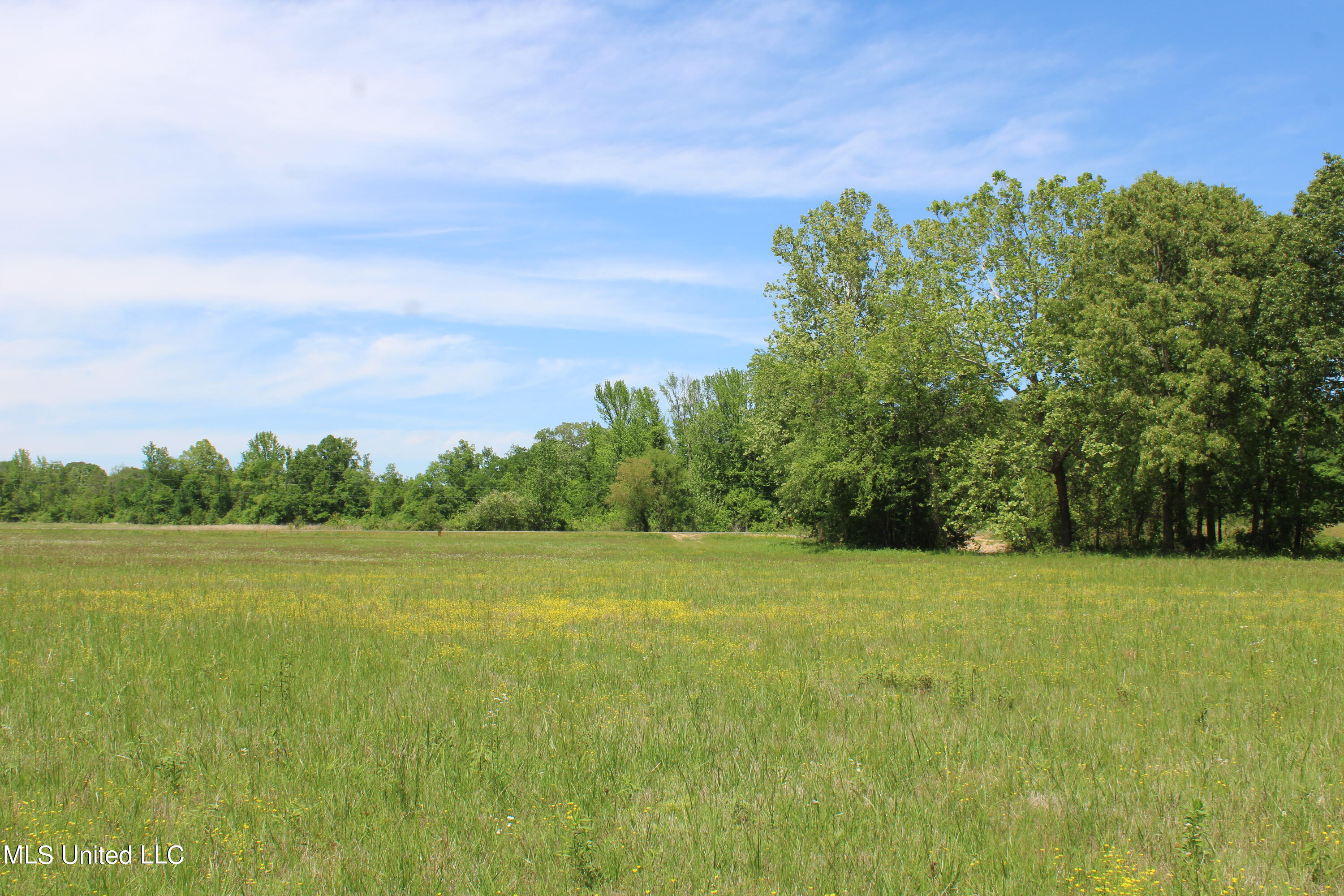 14996 Fairview Road Byhalia, MS 38611 - Photo 23 of 31 IMG_3823