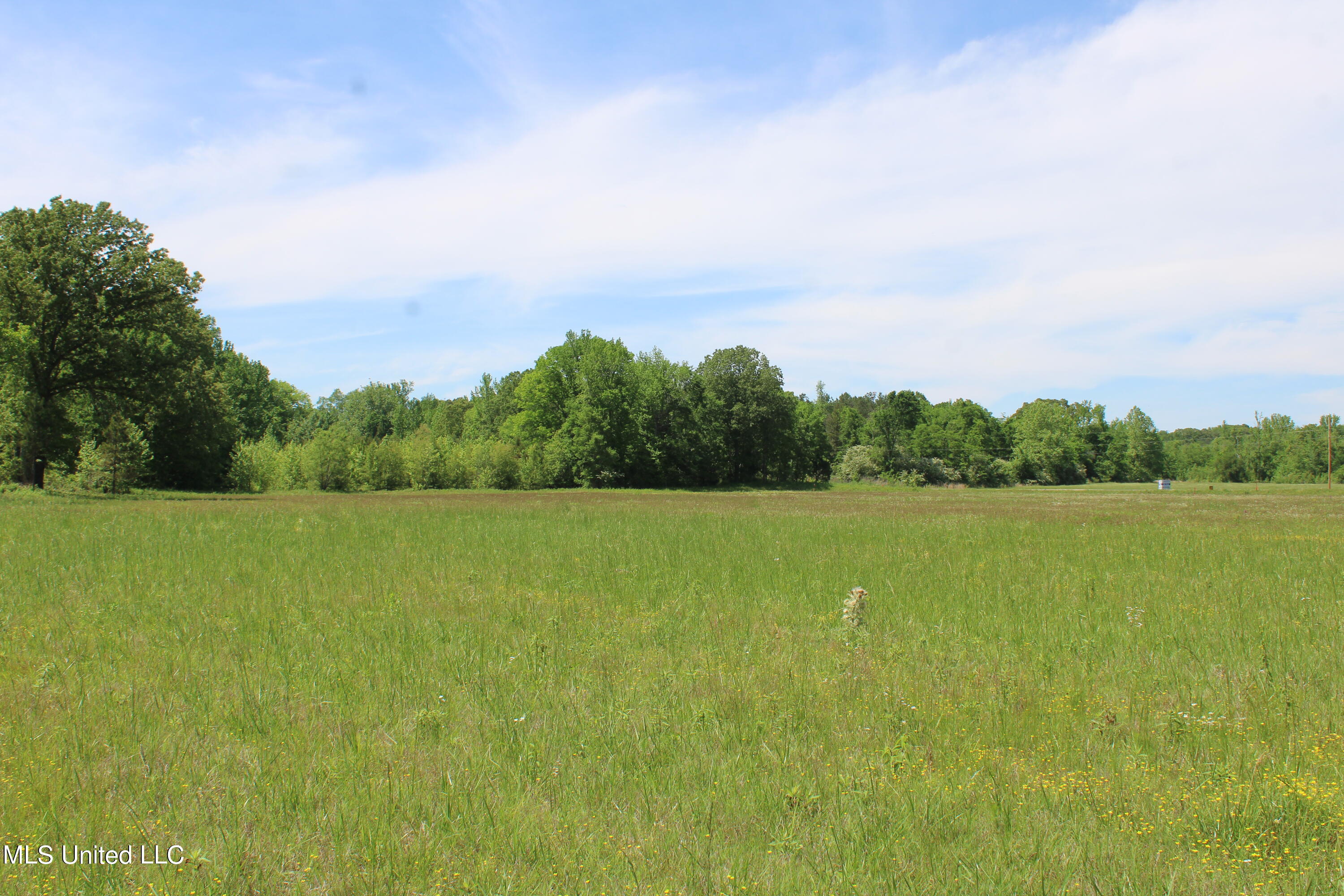 14996 Fairview Road Byhalia, MS 38611 - Photo 24 of 31 IMG_3824