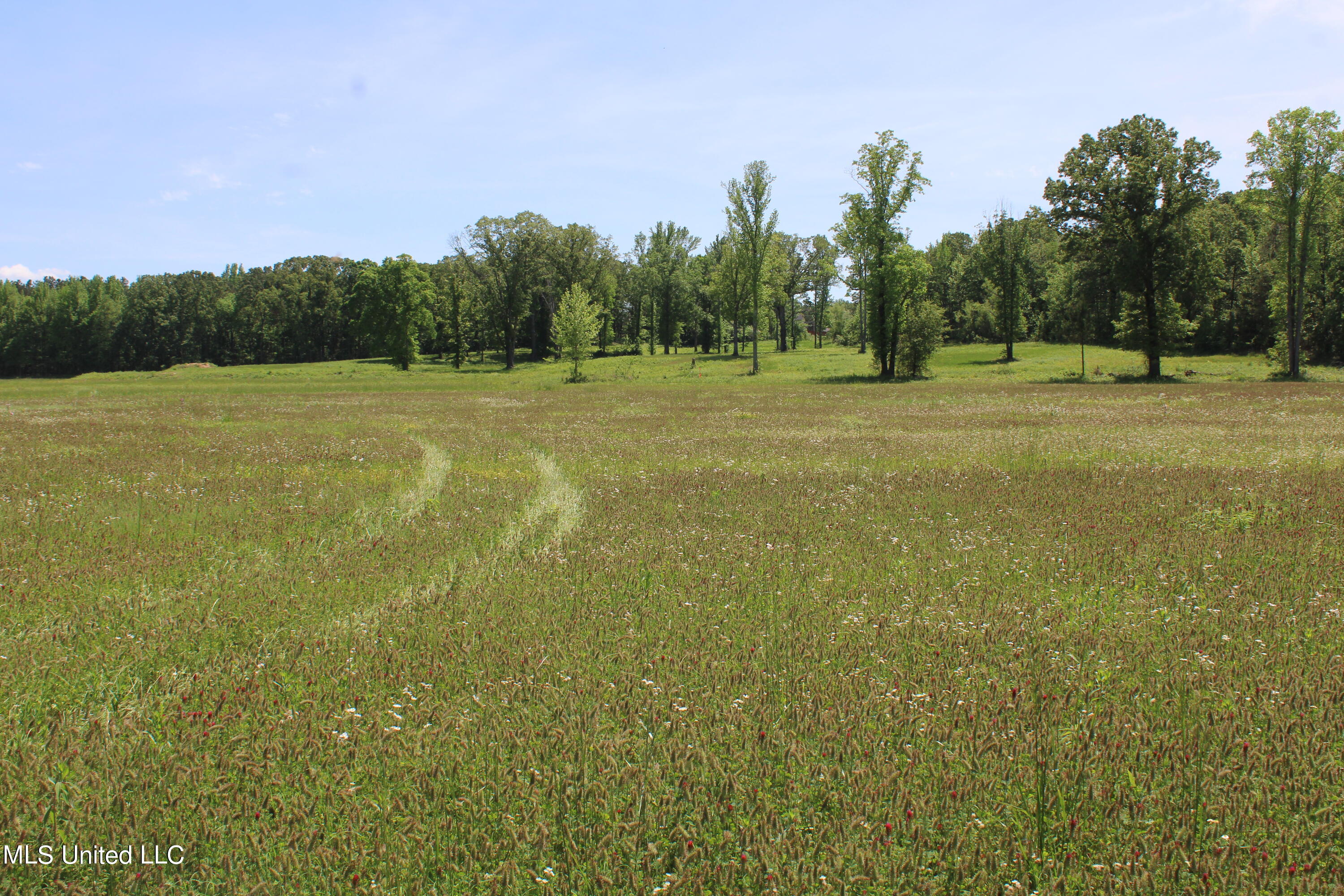 14996 Fairview Road Byhalia, MS 38611 - Photo 25 of 31 IMG_3825