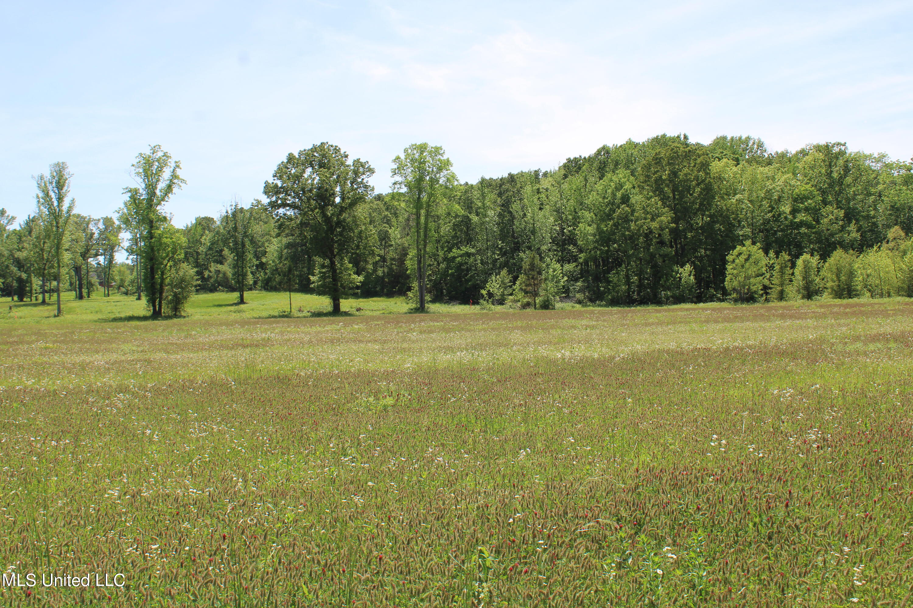 14996 Fairview Road Byhalia, MS 38611 - Photo 26 of 31 IMG_3826