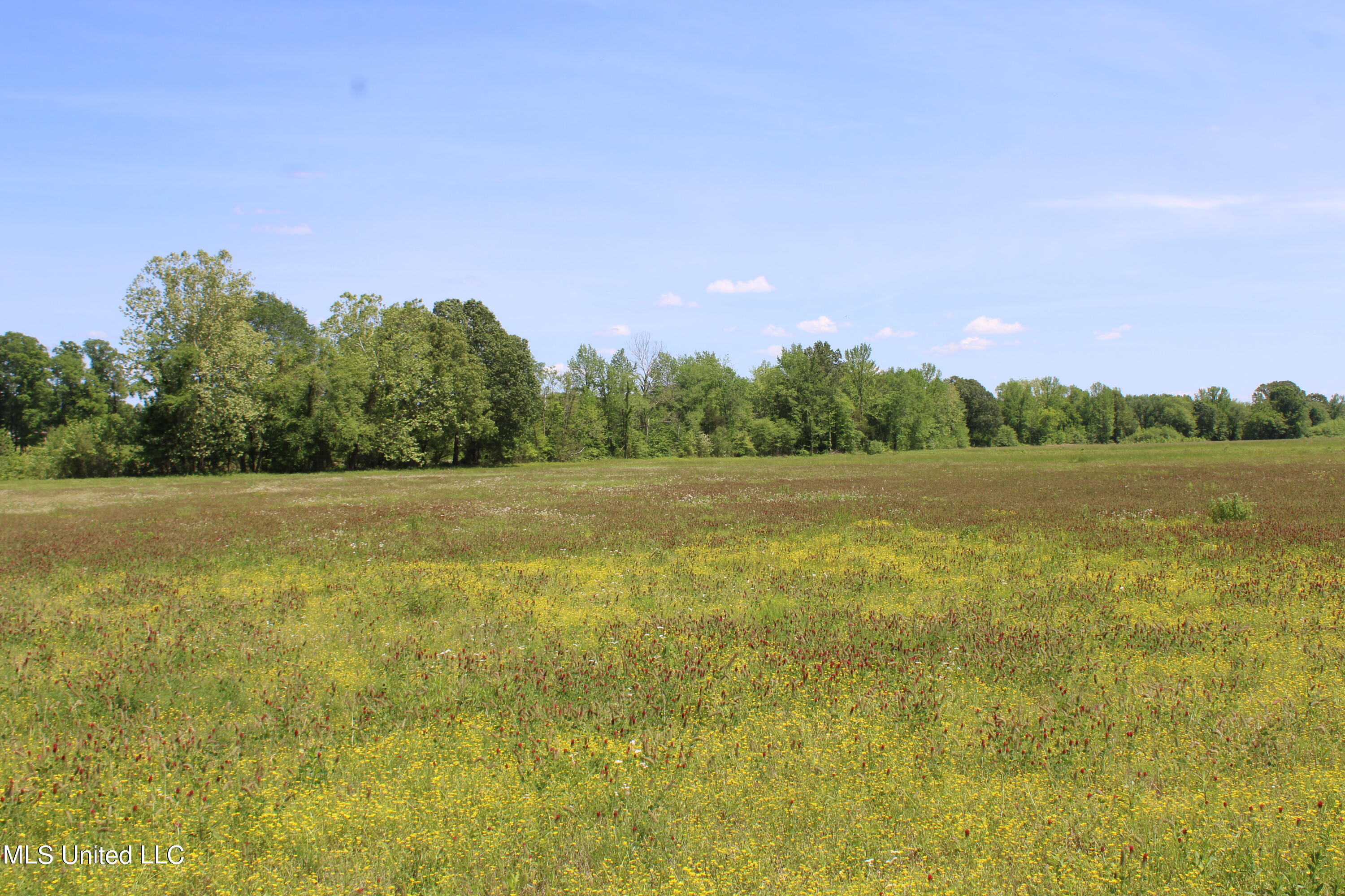 14996 Fairview Road Byhalia, MS 38611 - Photo 28 of 31 IMG_3828