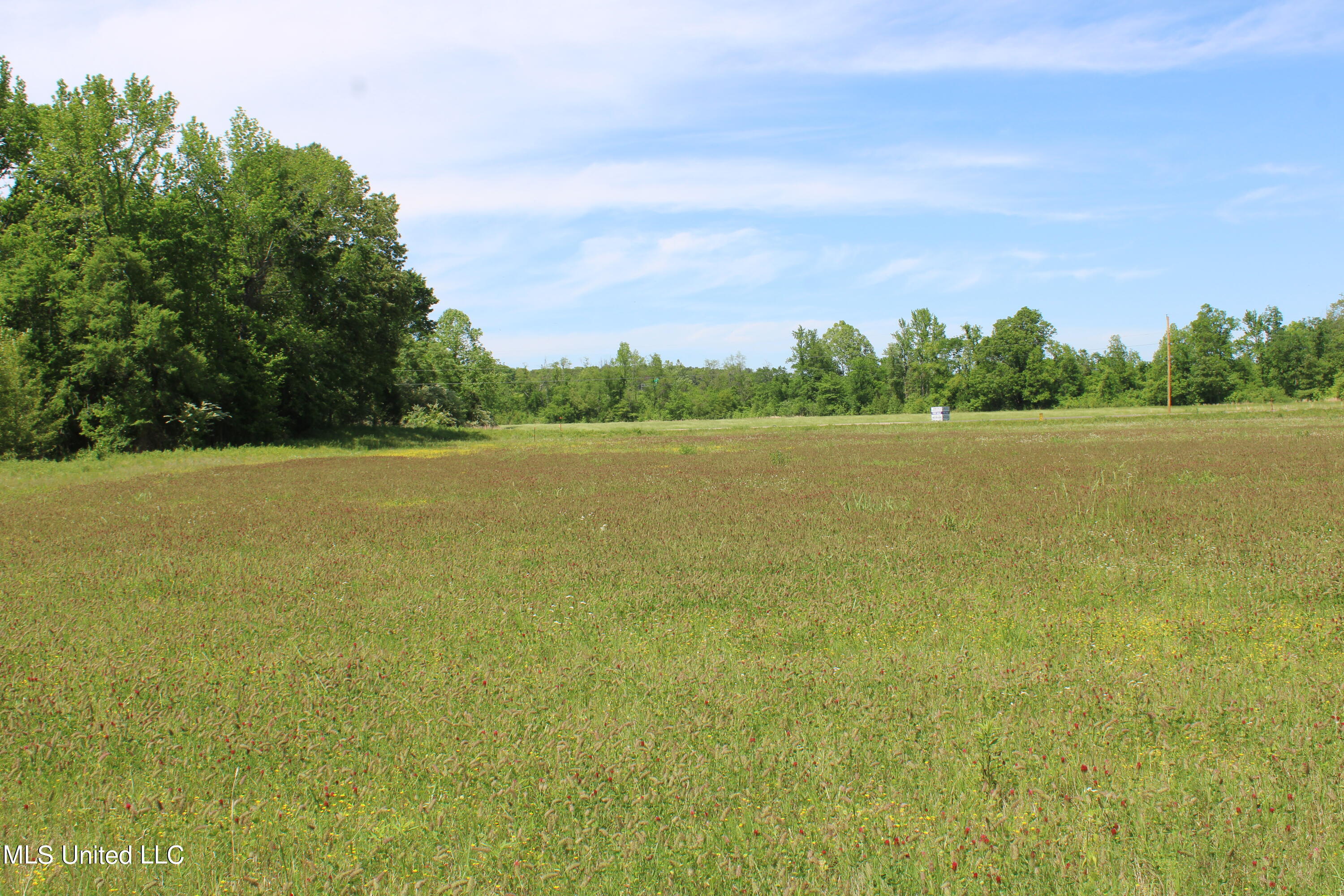 14996 Fairview Road Byhalia, MS 38611 - Photo 30 of 31 IMG_3830