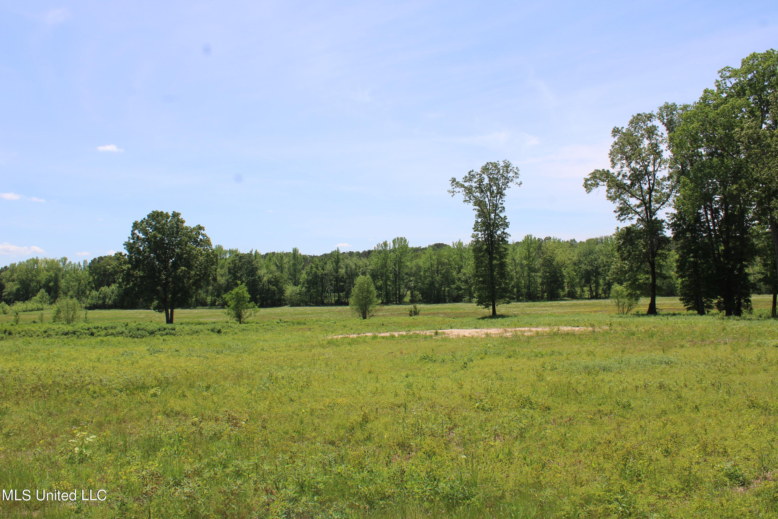 14996 Fairview Road Byhalia, MS 38611 - Photo 5 of 31 IMG_3802