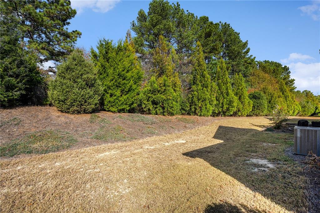 2473 Rathburn Circle Loganville, GA 30052 - Photo 31 of 32 a view of a yard