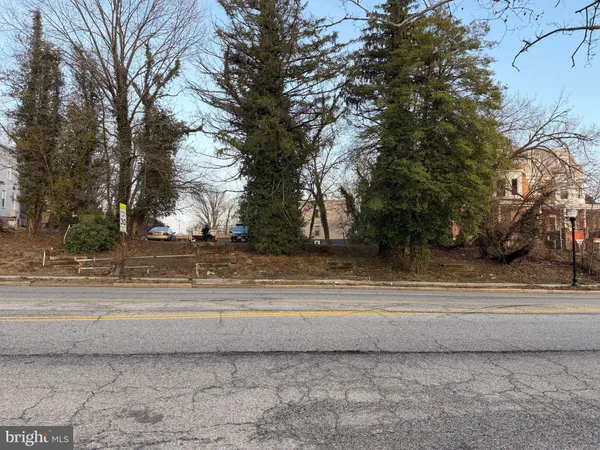 a view of a yard with large trees