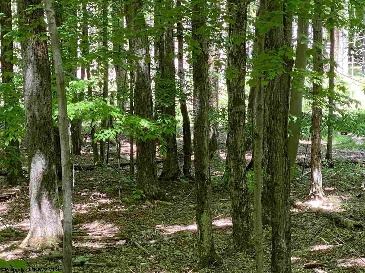 137 Ridge Davis Wv 26260 Davis, WV 26260 - Photo 1 of 12 Gallery Image 1