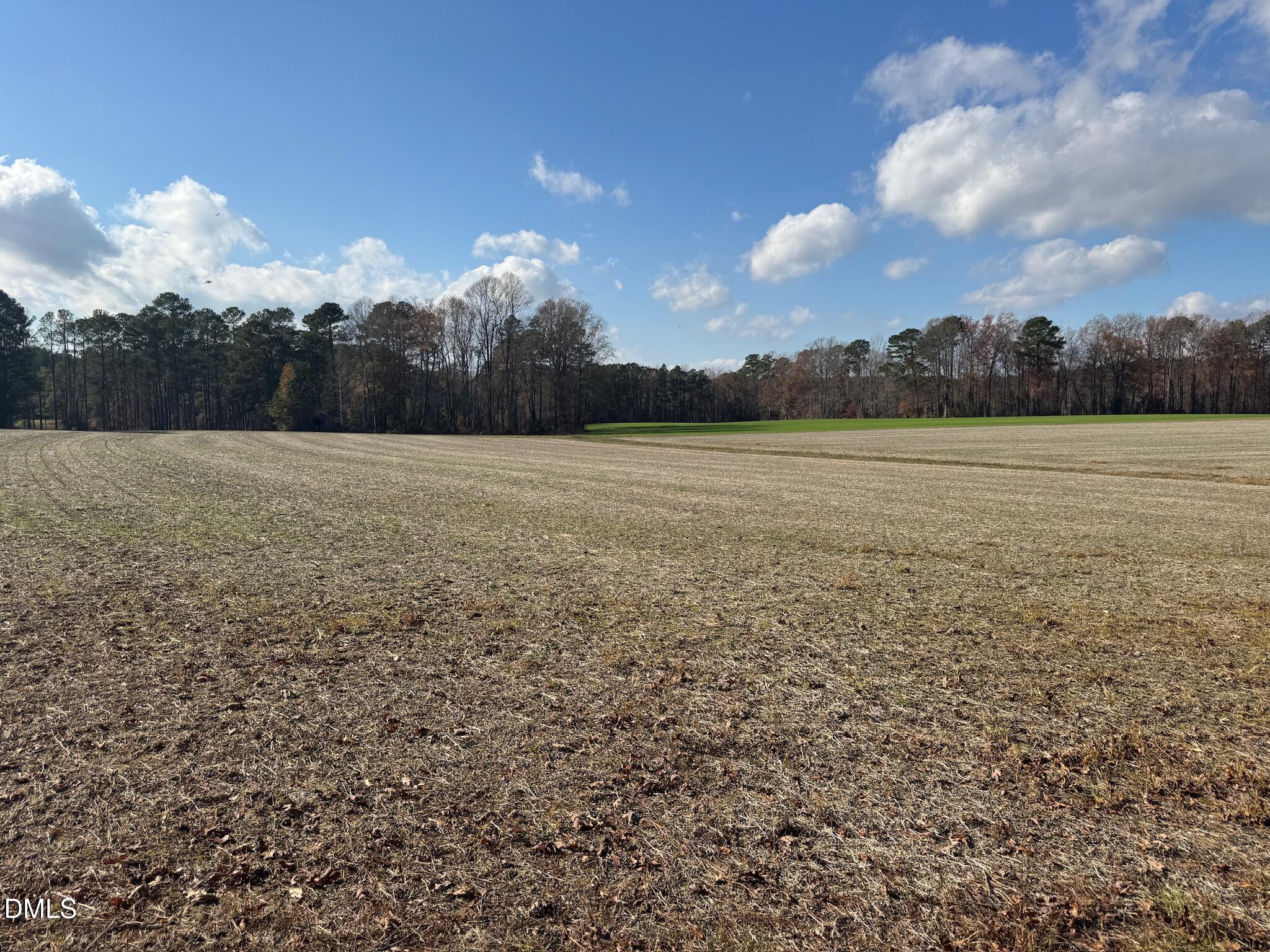 0 Martin Road Zebulon, NC 27597 - Photo 13 of 41 IMG_8726
