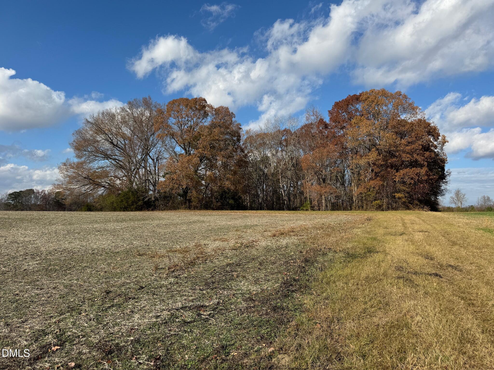 0 Martin Road Zebulon, NC 27597 - Photo 15 of 41 IMG_8733