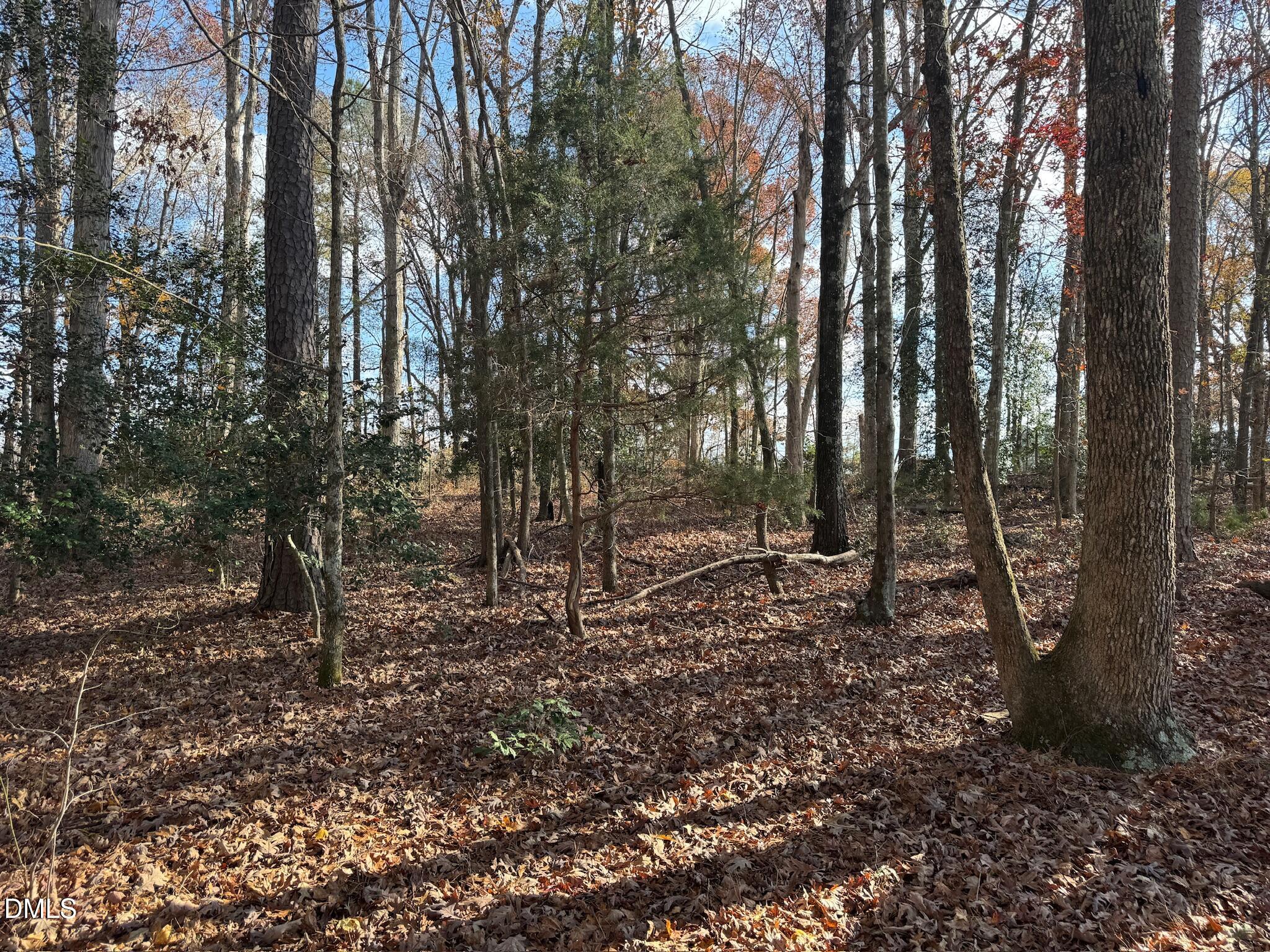 0 Martin Road Zebulon, NC 27597 - Photo 23 of 41 IMG_8717