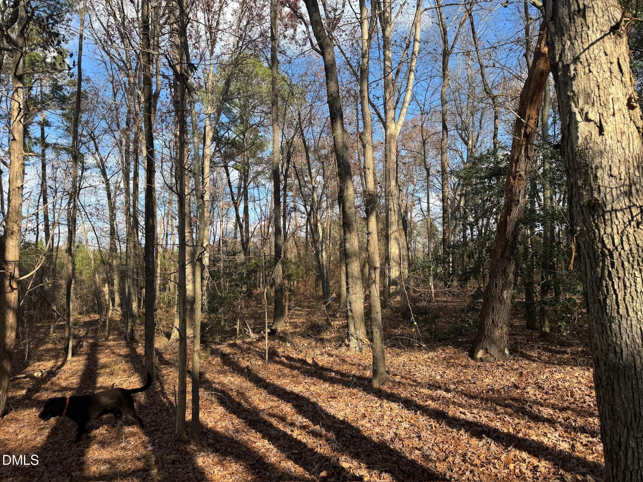 0 Martin Road Zebulon, NC 27597 - Photo 24 of 41 IMG_8718