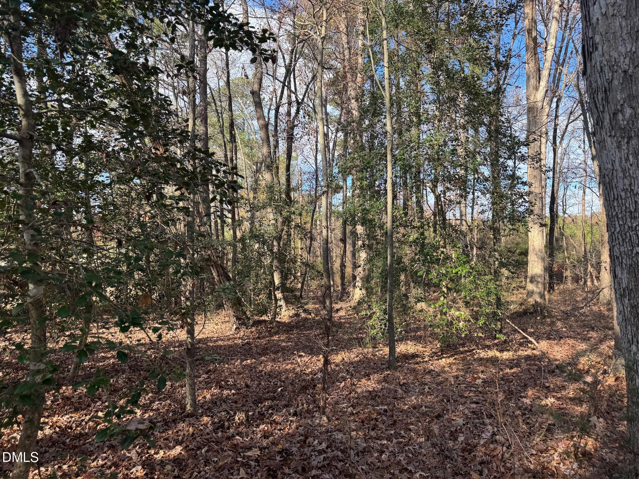 0 Martin Road Zebulon, NC 27597 - Photo 29 of 41 IMG_8725