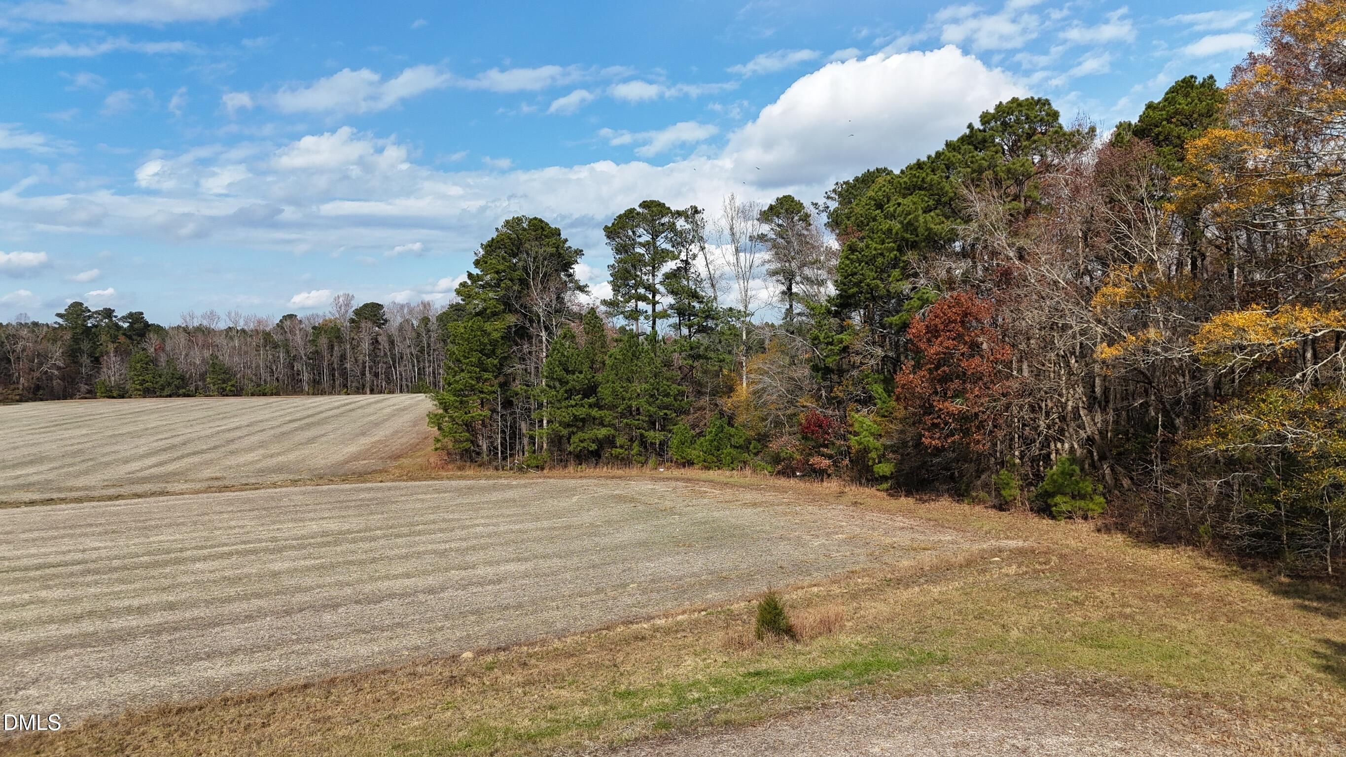0 Martin Road Zebulon, NC 27597 - Photo 36 of 41 dji_fly_20251122_125918_0061_17638345384