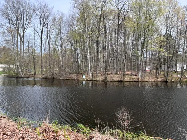 $44,900 | Lot 160 East Shore Drive, Stanton, MI 48888