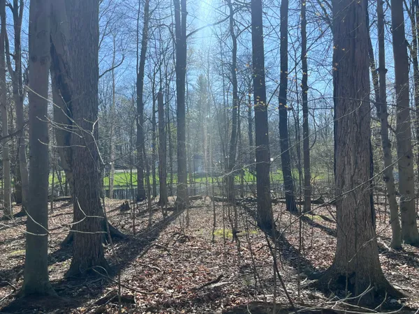 $44,900 | Lot 160 East Shore Drive, Stanton, MI 48888