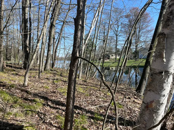 $44,900 | Lot 160 East Shore Drive, Stanton, MI 48888